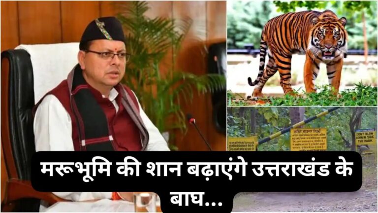 बड़ी ख़बर…मरुभूमि की शान बढ़ाएंगे उत्तराखंड के बाघ, धामी सरकार ने दी मंजूरी; अब उत्तराखंड से इतने बाघ भेजे जाएंगे राजस्थान…