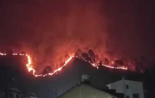 Uttarakhand” वन विभाग हुआ प्रदेश के जंगलों को जलाने वाले शरारती तत्वों के खिलाफ सख्त, आग लगाने पर 196 लोगों पर केस दर्ज; पढ़िए पूरी ख़बर…