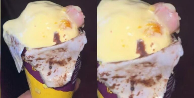 नामी कंपनी से महिला ने ऑडर की आइसक्रीम” निकली आइसक्रीम के अंदर कटी हुई इंसानी उंगली, खाने ही जा रही थी महिला उससे पहले ही निकल गई चीख; केस दर्ज जांच शुरू।