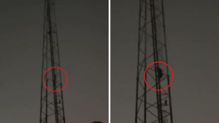 *गज़ब:- Youtube पर सब्सक्राइबर बढ़ाने के लिए 100 फीट ऊंचे टॉवर पर चढ़ गया युवक, पुलिस-प्रशासन के फूल गए हाथ पांव; जानिए आगे क्या हुआ??*