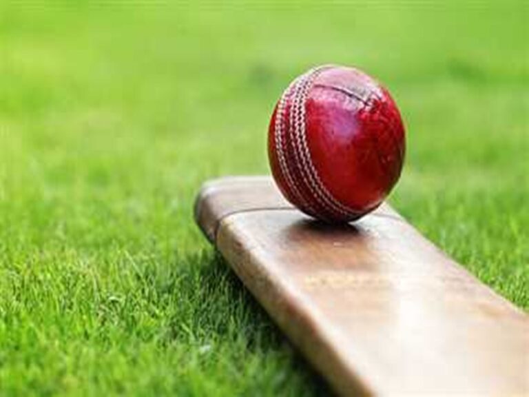 रूद्रपुर:- 28 जुलाई से डीपीएस रूद्रपुर में होगी अंडर 14 जिला क्रिकेट लीग प्रतियोगिता।
