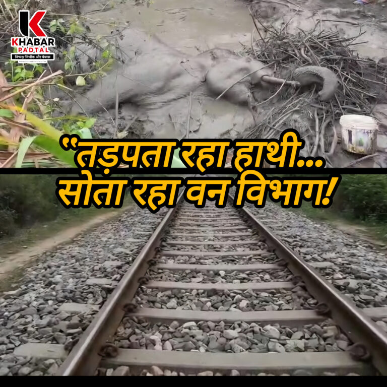 वन विभाग और रेलवे की लापरवाही ने एक मासूम जानवर की जान पर बना दिया बड़ा संकट।