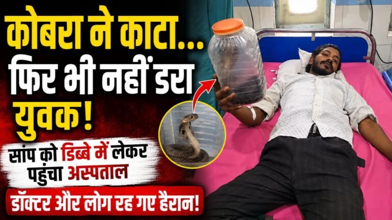 कोबरा ने काटा तो उसी को डिब्बे में बंद कर अस्पताल पहुंचा युवक, अस्पताल में देखकर डॉक्टर भी रह गए हैरान